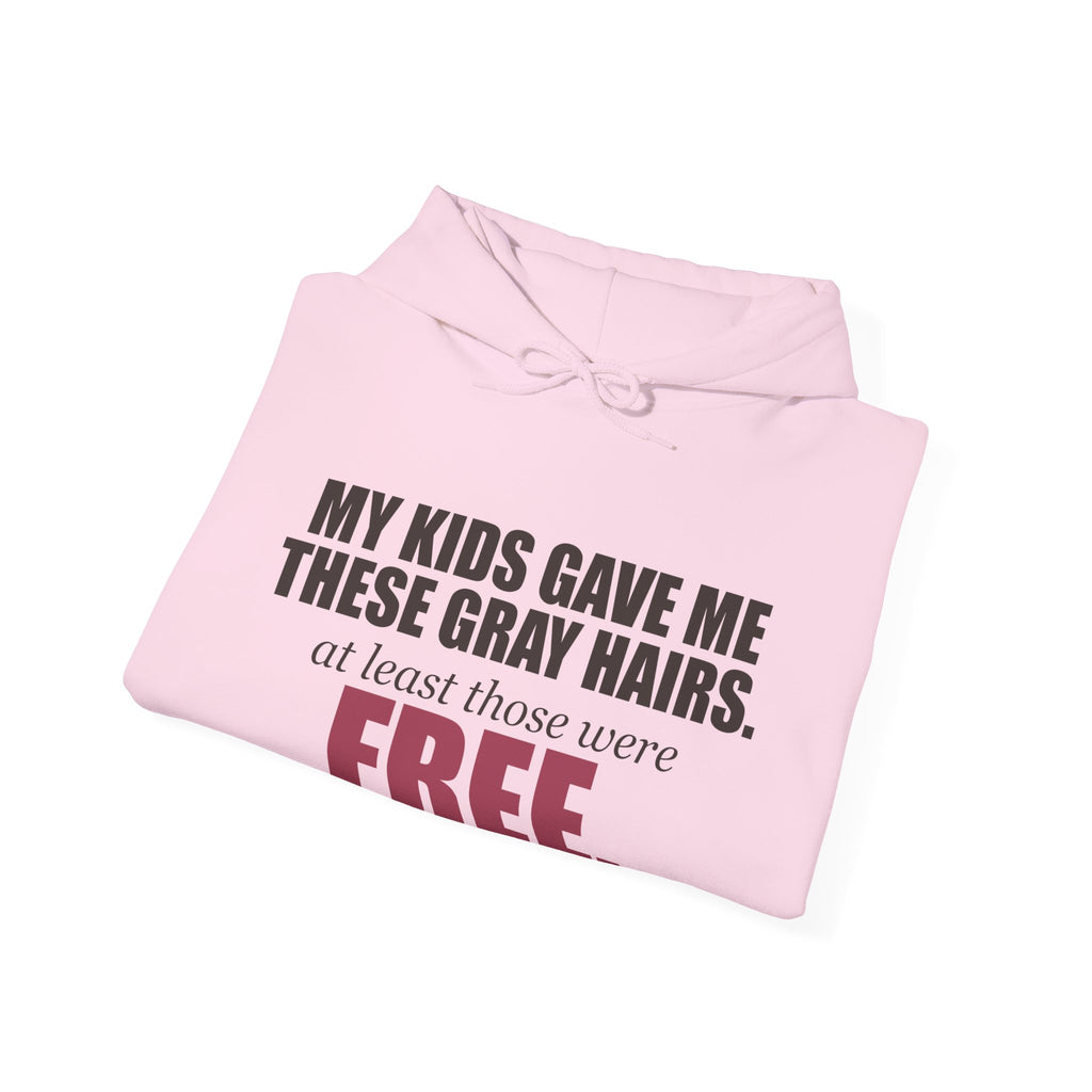 My Kids Gave Me These Gray Hairs Hoodie