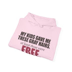 My Kids Gave Me These Gray Hairs Hoodie