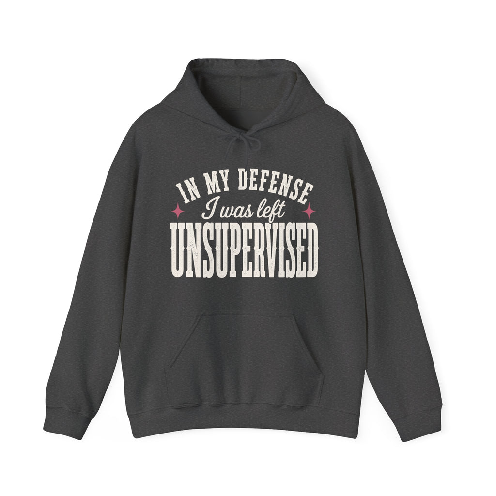 In My Defense, I Was Left Unsupervised Hoodie