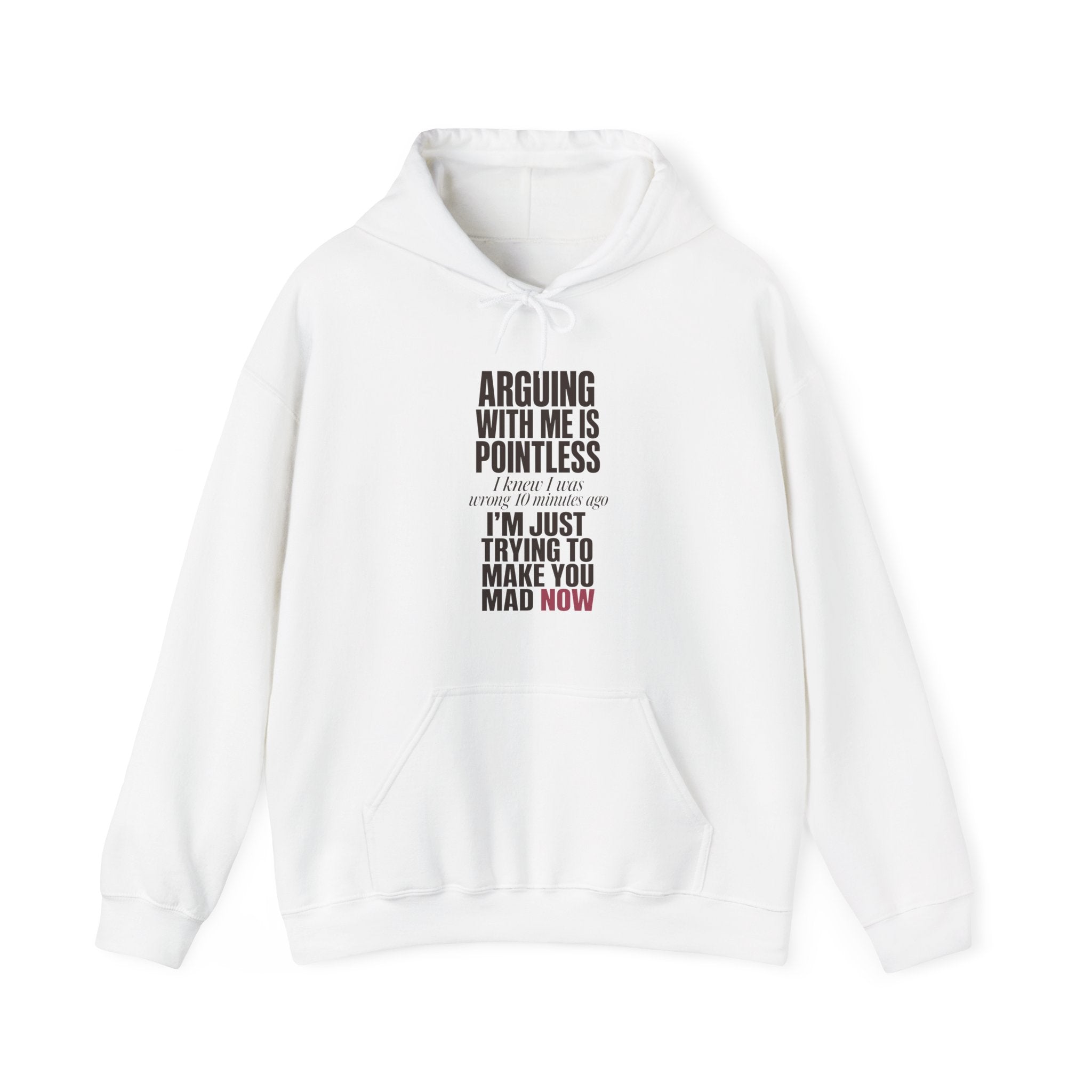 Arguing With Me Is Pointless Hoodie
