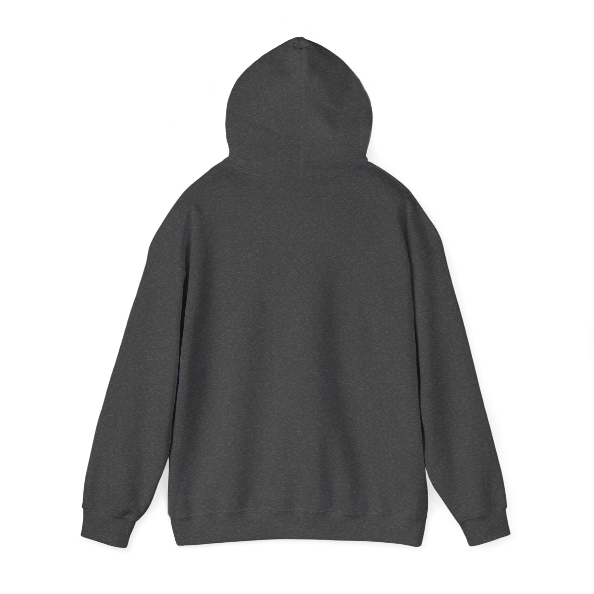 My Kids Gave Me These Gray Hairs Hoodie