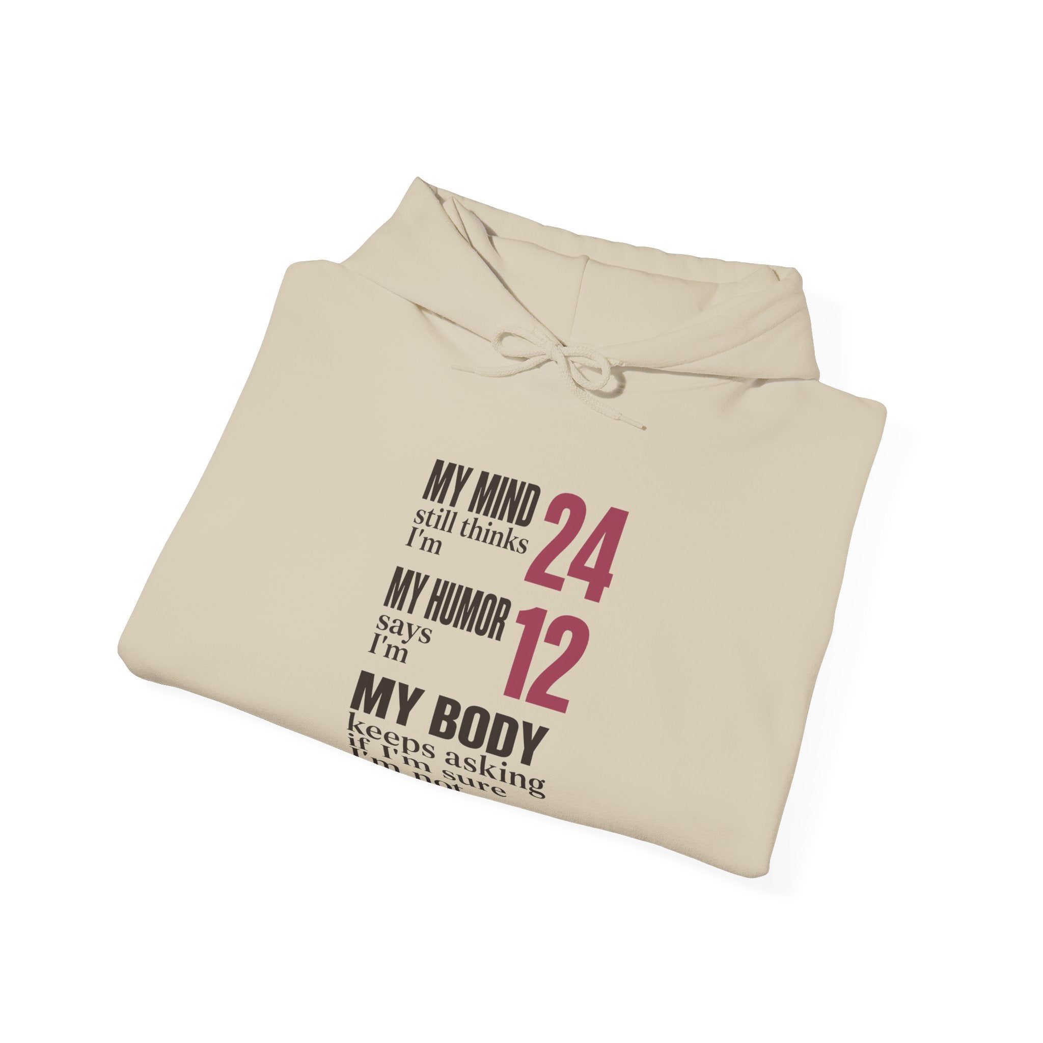 My Mind Says 24, My Humor Says 12 Hoodie