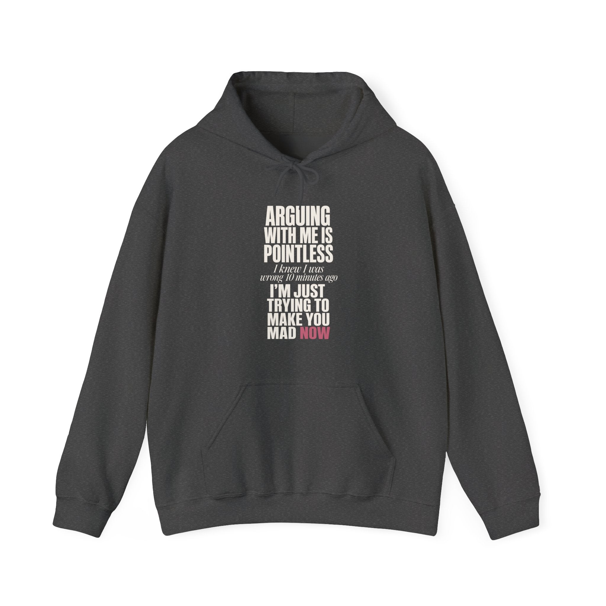 Arguing With Me Is Pointless Hoodie