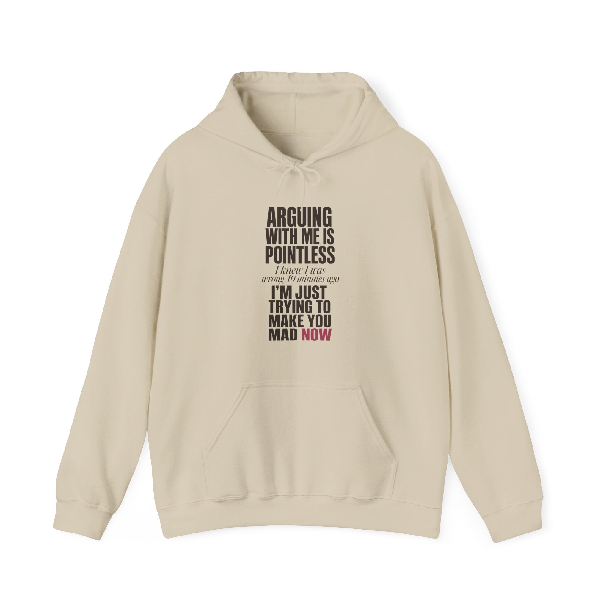Arguing With Me Is Pointless Hoodie