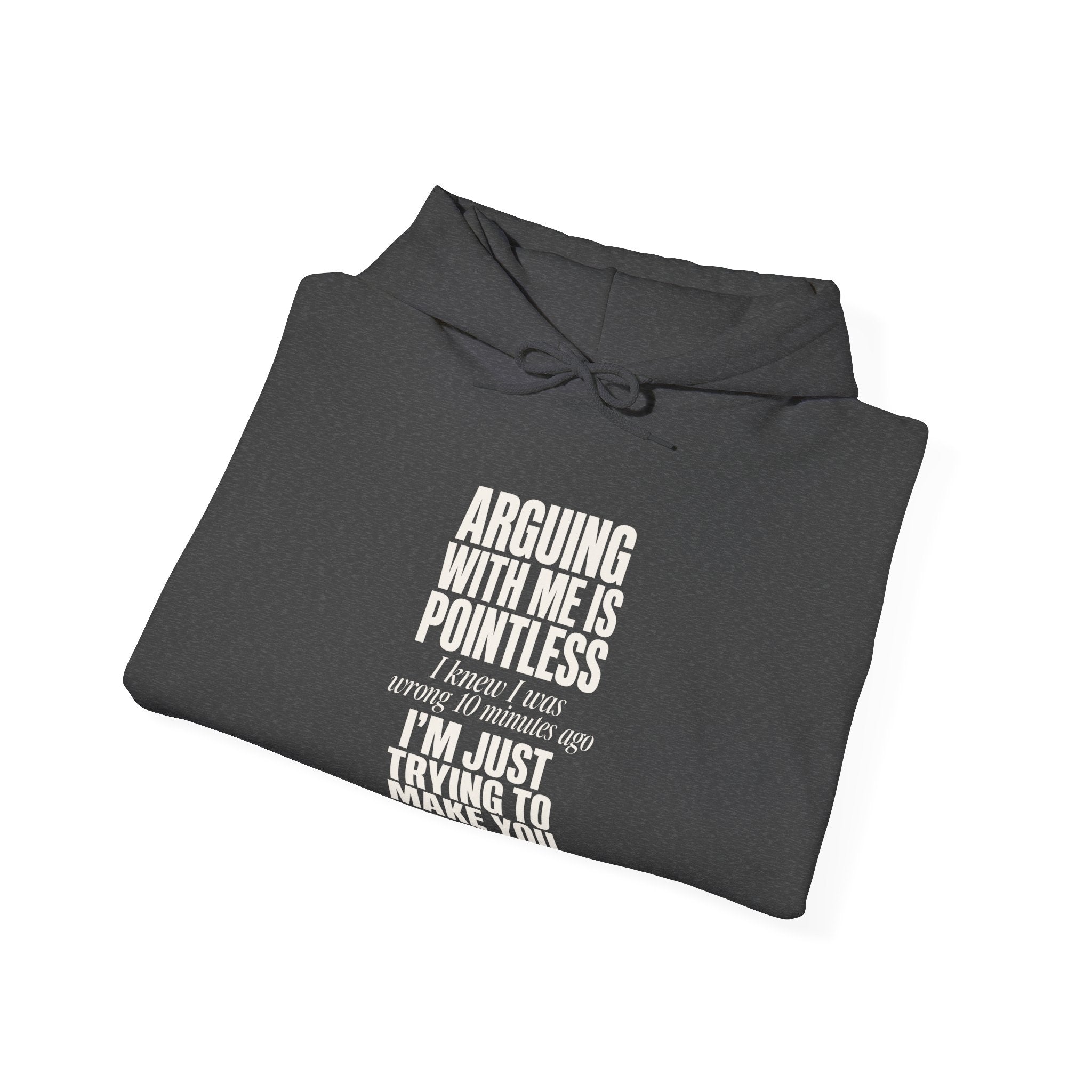 Arguing With Me Is Pointless Hoodie