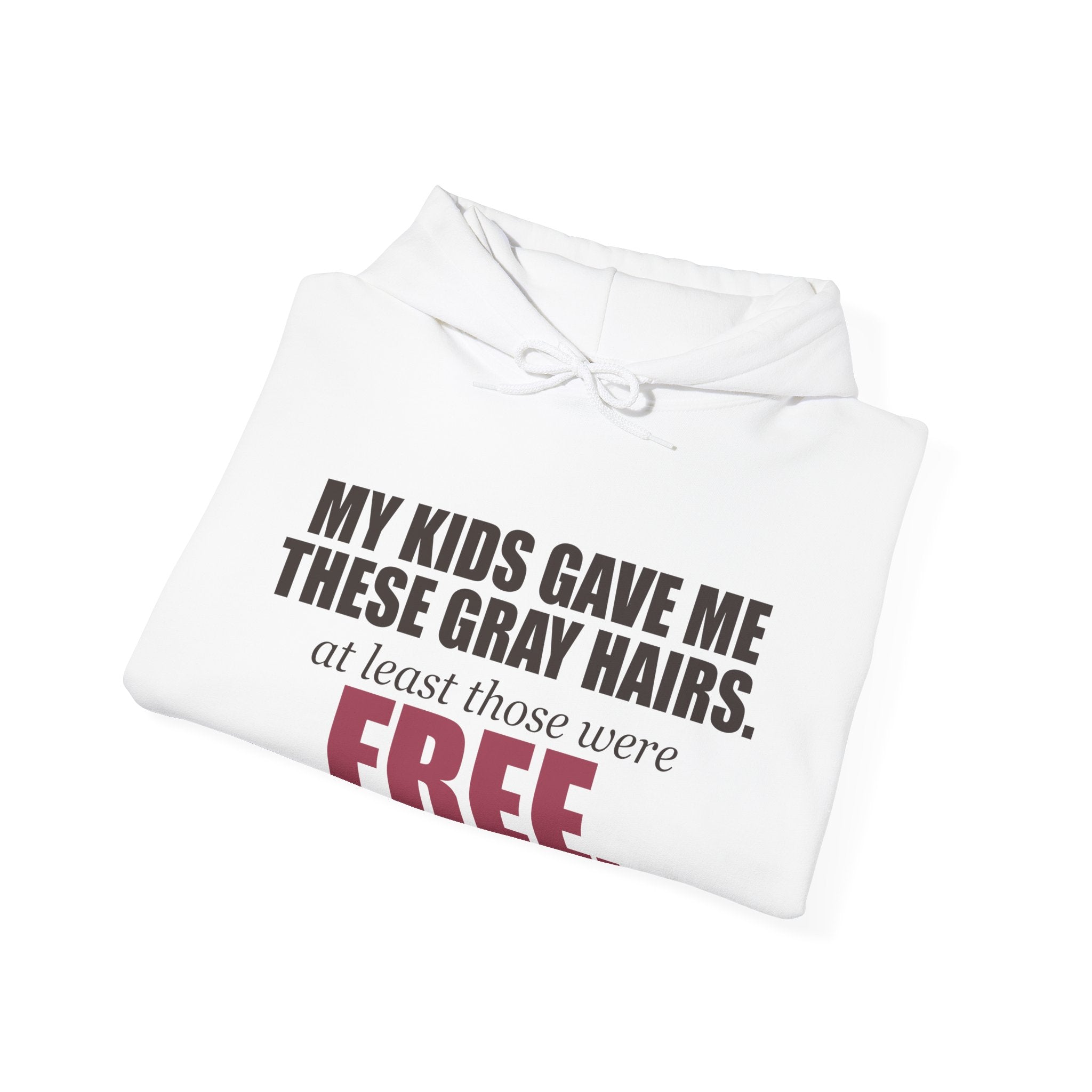 My Kids Gave Me These Gray Hairs Hoodie