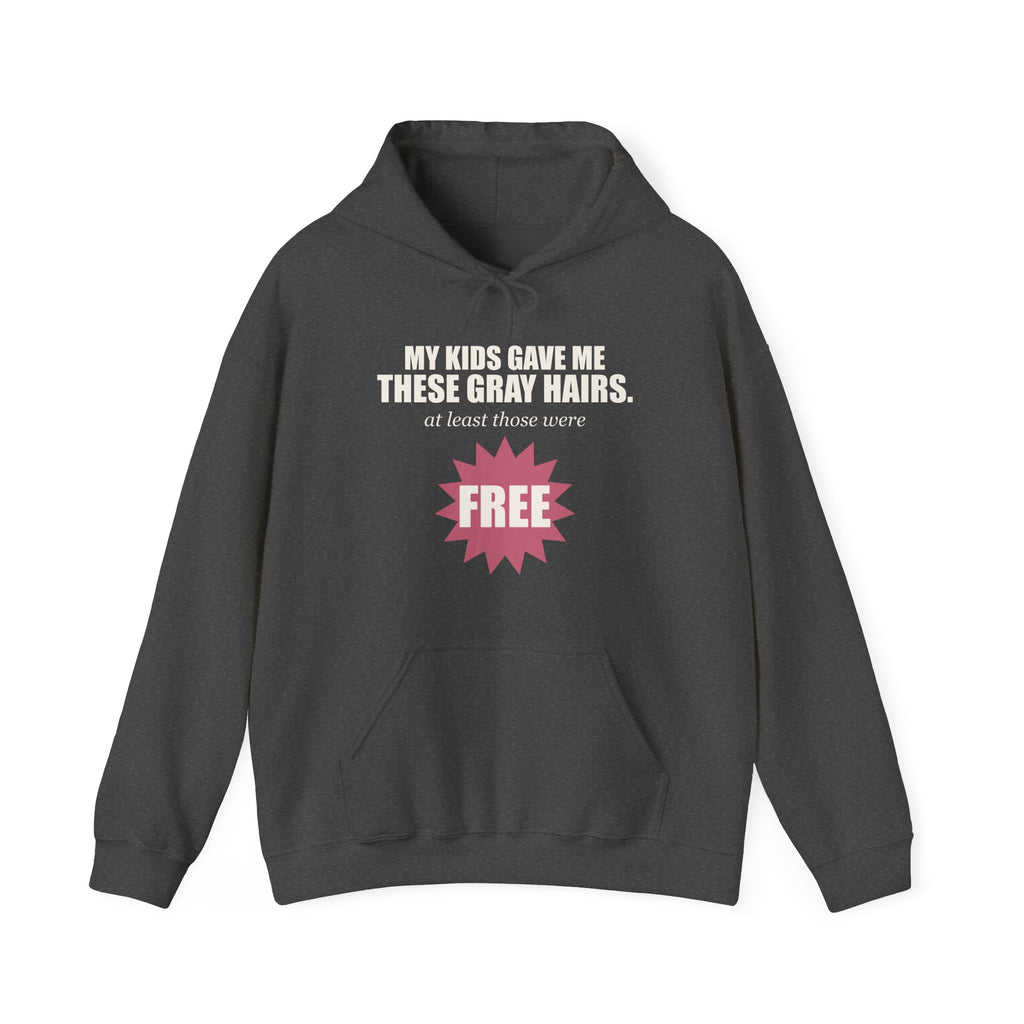 My Kids Gave Me These Gray Hairs Hoodie