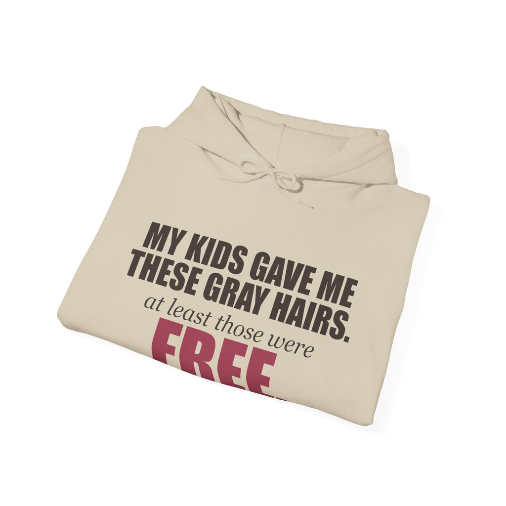 My Kids Gave Me These Gray Hairs Hoodie
