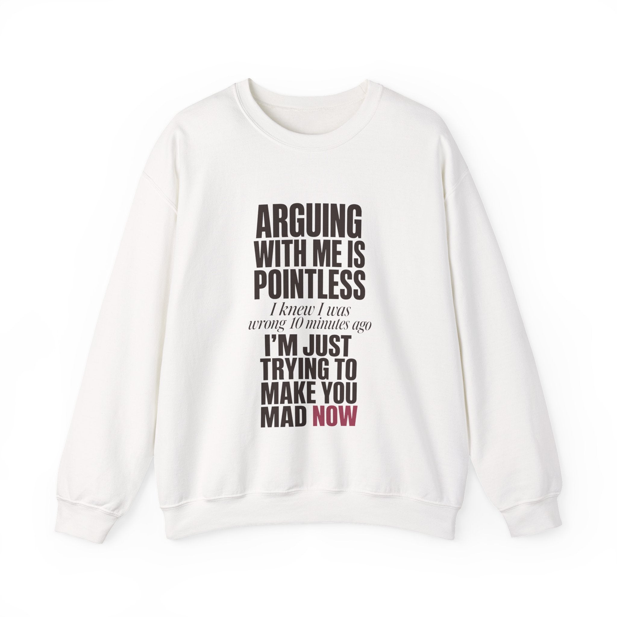 Arguing With Me Is Pointless Sweatshirt