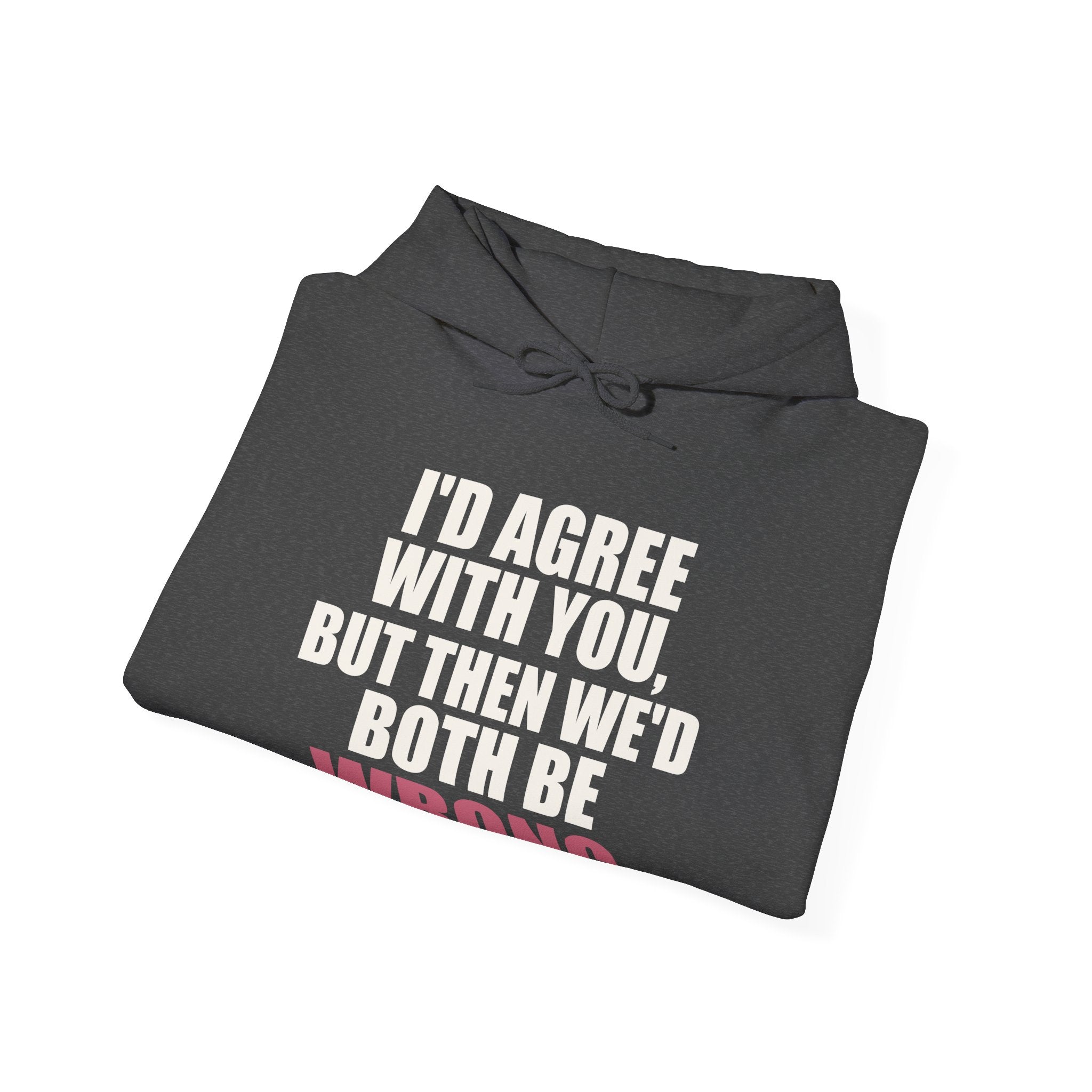 I'd Agree With You, But Then We'd Both Be Wrong Hoodie