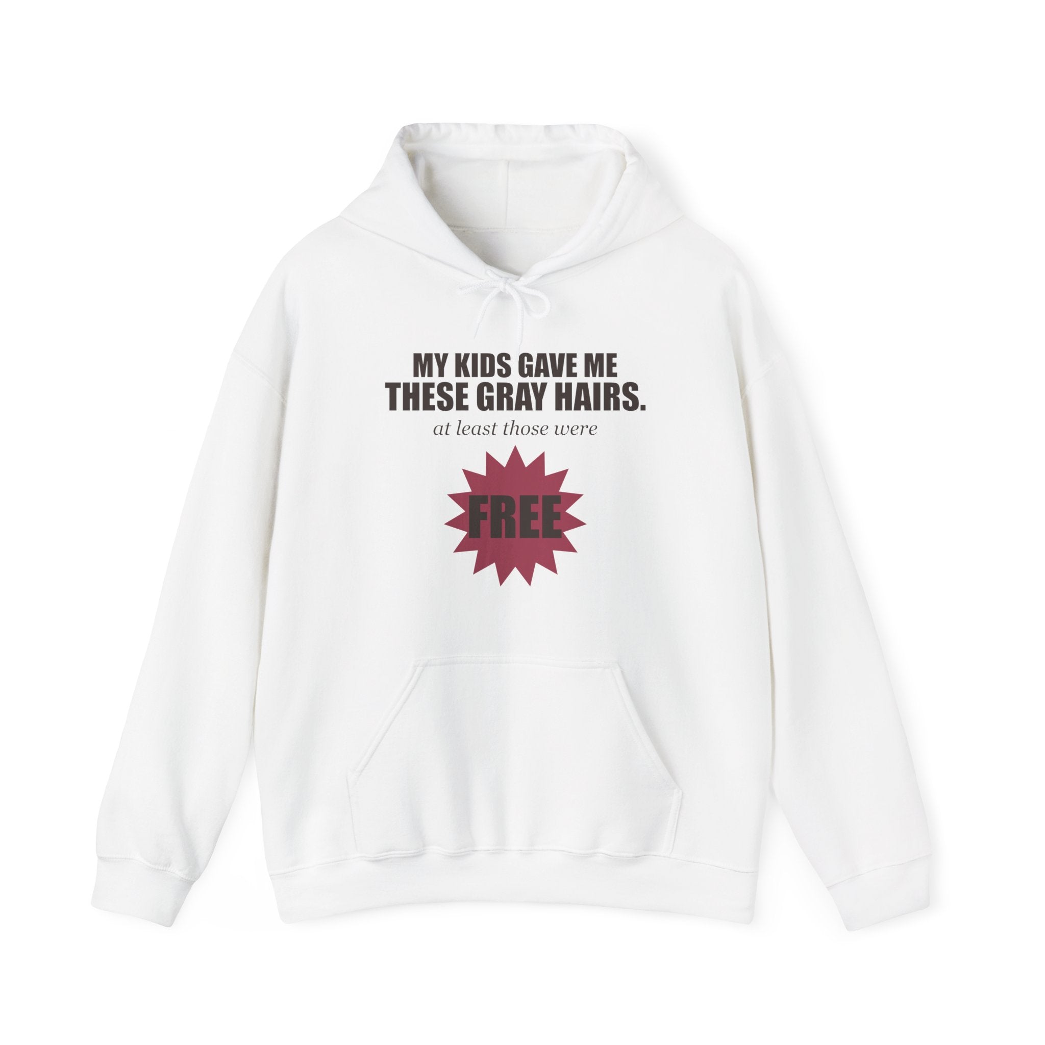 My Kids Gave Me These Gray Hairs Hoodie
