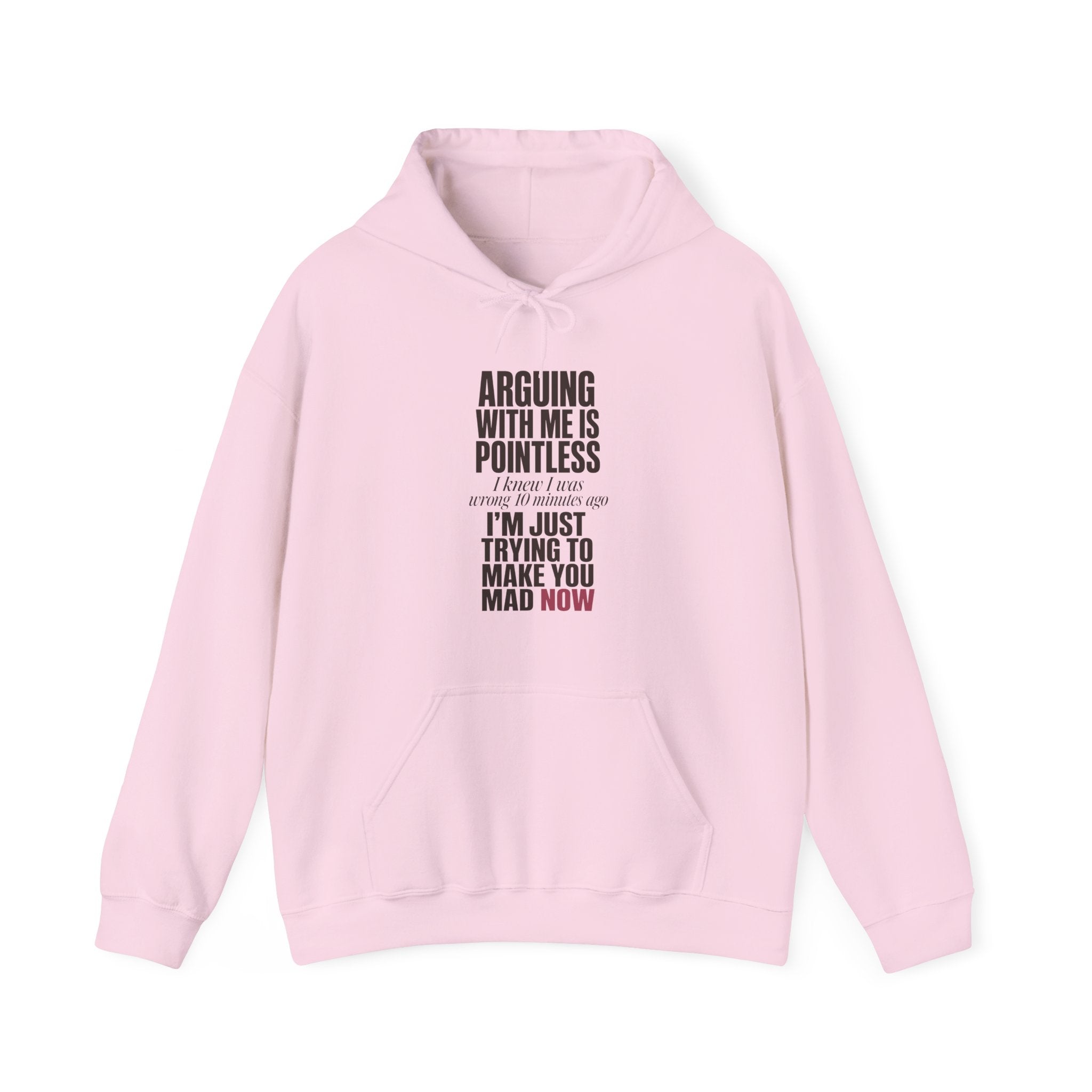 Arguing With Me Is Pointless Hoodie