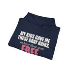 My Kids Gave Me These Gray Hairs Hoodie