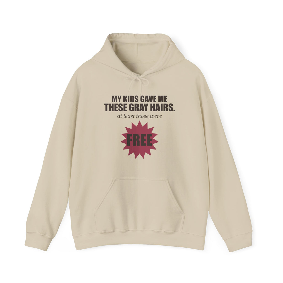 My Kids Gave Me These Gray Hairs Hoodie