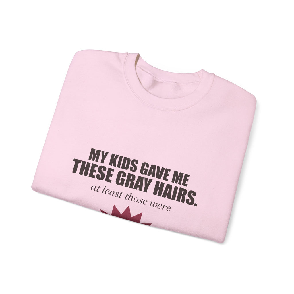 My Kids Gave Me These Gray Hairs Sweatshirt