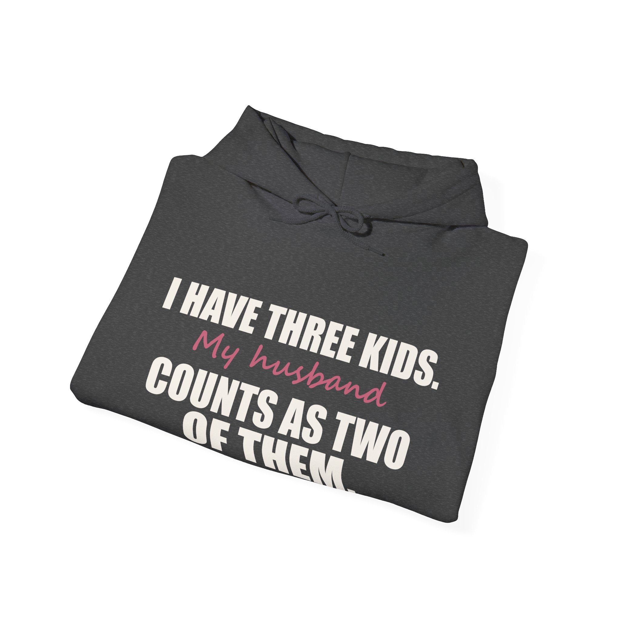 I Have Three Kids — My Husband Counts as Two Hoodie
