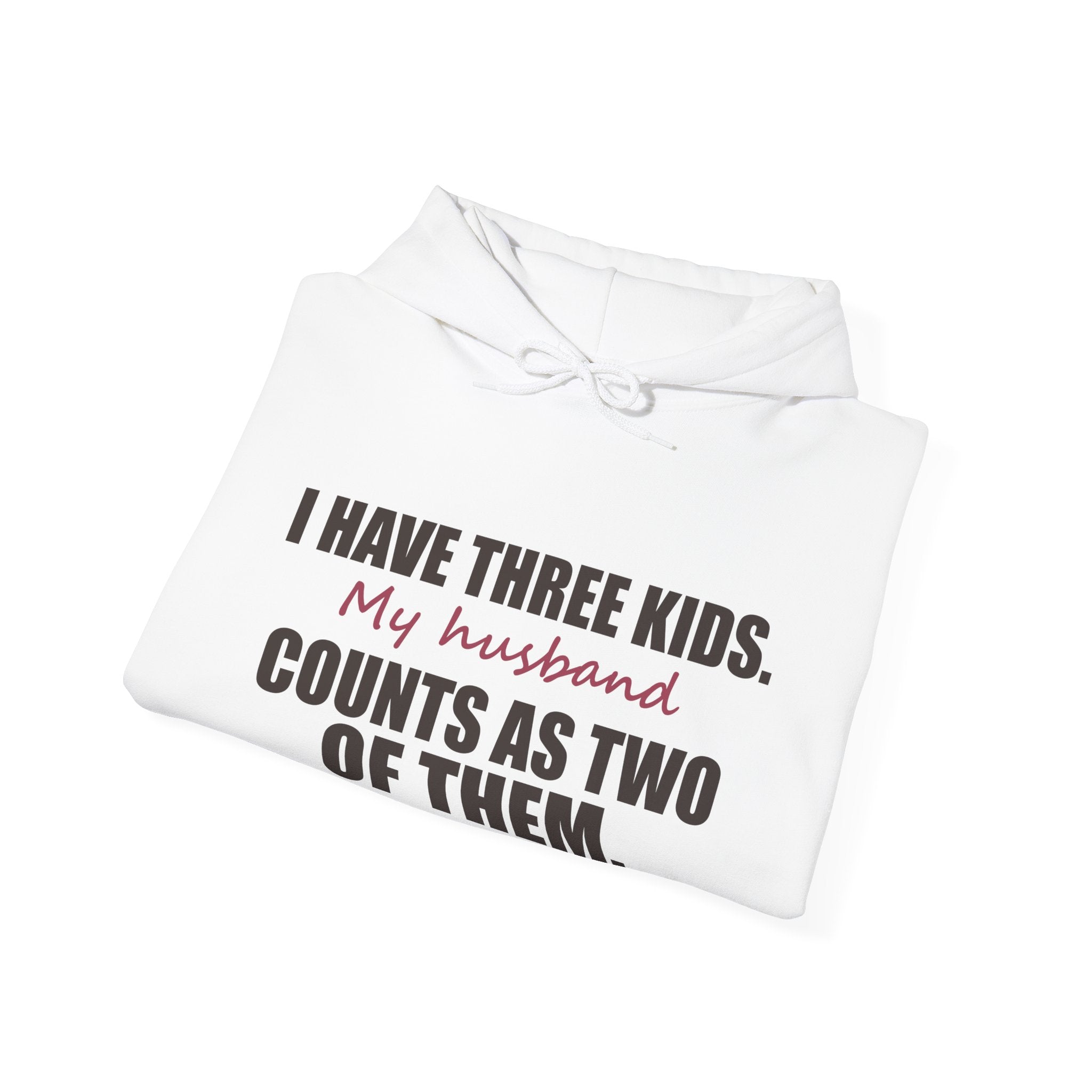 I Have Three Kids — My Husband Counts as Two Hoodie