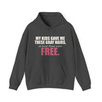 My Kids Gave Me These Gray Hairs Hoodie